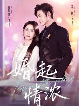 婚起情浓海报